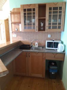 a kitchen with a sink and a microwave at Penzión Weinerovka Varín in Žilina