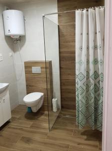 baño con aseo y cortina de ducha de cristal en Apartamenty Pasternik 7, en Suchedniów 30 fotos más