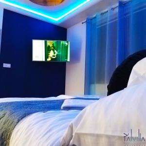 een slaapkamer met een bed en een tv aan de muur bij Pál Villa - Premium Apartments - Kecskemét in Kecskemét