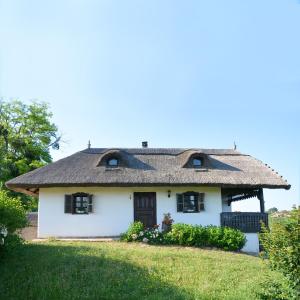 uma pequena casa branca com telhado de palha em Vinum Vidae em Lendava