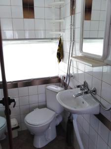 a bathroom with a toilet and a sink at Teo's Guest House in Dospat +33 photos