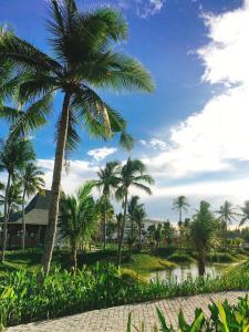 una palmera junto a un cuerpo de agua en Cocoland River Beach Resort & Spa, en Quảng Ngãi