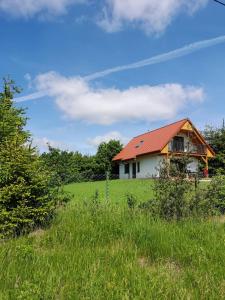una casa con techo rojo en un campo verde en Grzybowo Dom wakacyjny, en Grzybowo