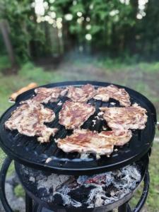 Puhkemaja külastajatele saadaval grillimisvõimalused