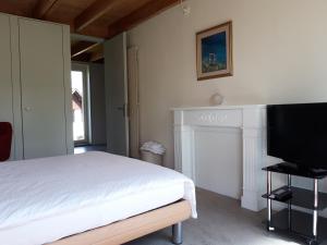 Schlafzimmer mit einem Bett, einem TV und einem Kamin in der Unterkunft B&B 25 in Münchwilen
