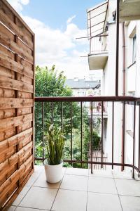 balkon z rośliną w garnku w obiekcie Unique apartments Krasinskiego street w Krakowie