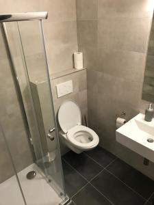 een badkamer met een toilet, een douche en een wastafel bij Pohoda na Radosti in Pňovany