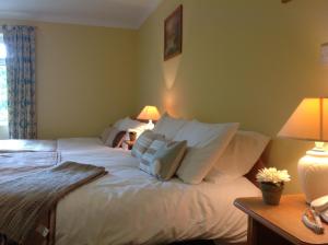 Letto o letti in una camera di Abbey Hotel