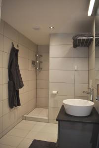 uma casa de banho com um lavatório e um chuveiro em Pension Het Pakhuys em Zierikzee