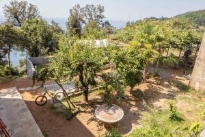 a garden with trees and a bike in the dirt at La BRIGNA B&B Il bosco sul mare in Genoa