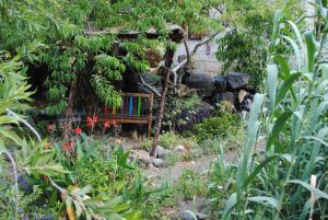 a bench in the middle of a garden at Hostal Casa Amaya in Vallehermoso