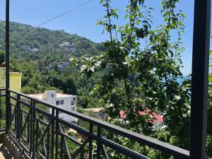 Paesaggio naturale nelle vicinanze dell'affittacamere
