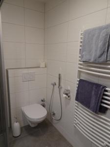 a bathroom with a toilet and a shower with towels at Ferienappartement GROCKE in Kaprun