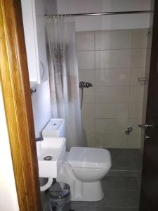 a bathroom with a toilet and a sink and a shower at Guesthouse To Petrino 1 in Keramídhion