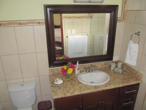 uma casa de banho com um lavatório, um WC e um espelho. em Paloma em Ojochal
