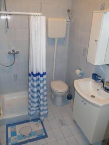 Koupelna v ubytování Apartments Alexa