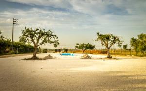 Foto de la galería de Isola dei poeti en Marzamemi