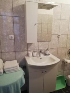 Koupelna v ubytování Apartments Alexa