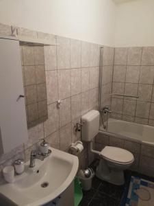 Koupelna v ubytování Apartments Alexa