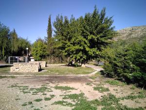 ein Park mit einem Baum und einer unbefestigten Straße in der Unterkunft Adosado, cerca de Valencia en zona de montaña y playa fluvial in Valencia