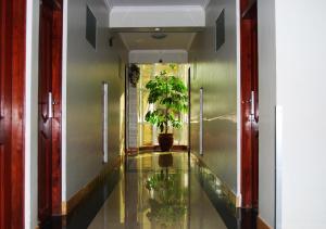 a hallway with a glass floor with a potted plant at Mc-Elly's Hotel in Arusha