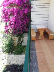 Zahrada ubytování Apartments Alexa