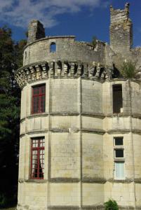 Photo de la galerie de l'établissement Château de Veuil, à Veuil