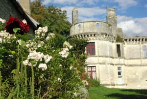 Veuil弗伊城堡住宿加早餐旅馆的一座古老的石头建筑,设有红色的窗户 更多10张照片