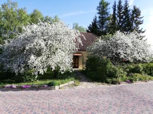 Zahrada ubytování Ruunawere Hotel