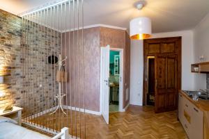 a bedroom with a glass shower in a room at Samuel Wagner in Sibiu
