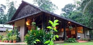 a wooden house with plants in front of it at ATTA Rainforest Lodge in Surumatra
