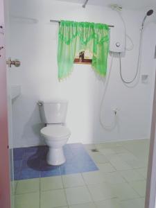 een badkamer met een toilet en een douche bij Chilly Beach Resort Palawan in Aborlan