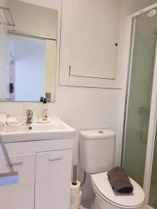 リスボンにあるLisbon Apartmentsのバスルーム(トイレ、洗面台、シャワー付)