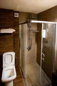 a bathroom with a toilet and a shower at Hotel Electra in Orestiada