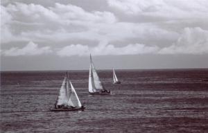 a number of sailboats on a body of water at Chapmans Peak Beach Hotel in Hout Bay