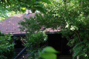 Zahrada ubytování Kuća za odmor MARA