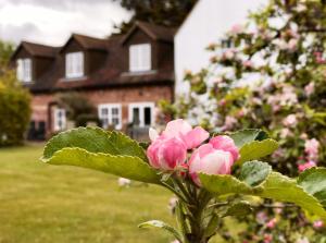 a bunch of pink flowers in front of a house at Hanger Down House Bed and Breakfast in Arundel