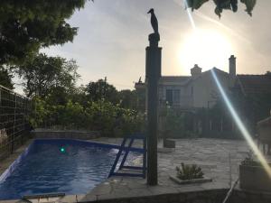 a swimming pool with a cat statue in a backyard at Guest house Duletic in Budva