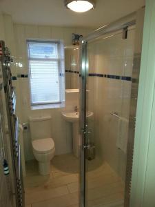 a bathroom with a shower and a toilet and a sink at Natal House Bed & Breakfast in Polperro