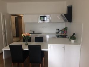 Kuchyň nebo kuchyňský kout v ubytování Apartmán Dara