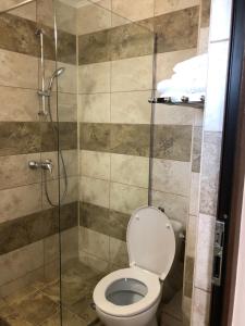 a bathroom with a toilet and a glass shower stall at Eden Blue in Costinesti