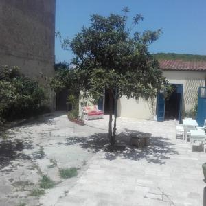 a tree in the courtyard of a building at Il cortile della monaca in Brindisi