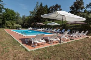 una piscina con tumbonas y sombrilla en Bed and breakfast Villa Torre degli Onesti Apartments, en Lucca