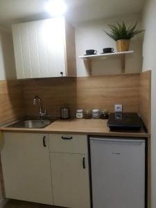 Kuchyňa alebo kuchynka v ubytovaní Apartamenty Milka