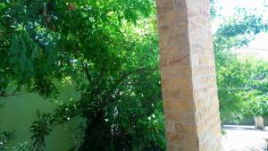 A garden outside Holiday Home in Chalkidiki, Lakkoma