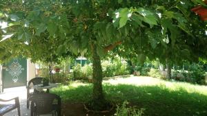 A garden outside Holiday Home in Chalkidiki, Lakkoma