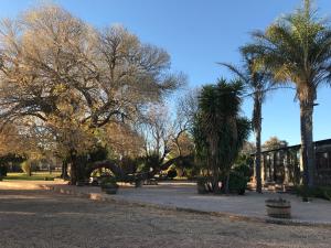 a park with palm trees and a building at LE -DANTE in Klerksdorp