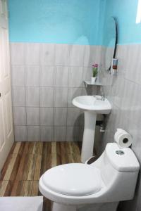 a bathroom with a white toilet and a sink at Cabinas Cascada Rio Celeste in Bijagua