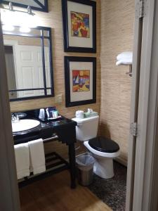 bagno con servizi igienici, lavandino e specchio di Southern Comfort Suites a Mayfield