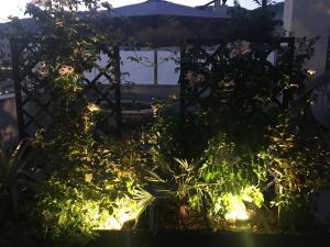 Vonkajšia záhrada v ubytovaní Ático 90m de terraza, jacuzzi privado y cargador de coche eléctrico en Cabria, Almuñecar